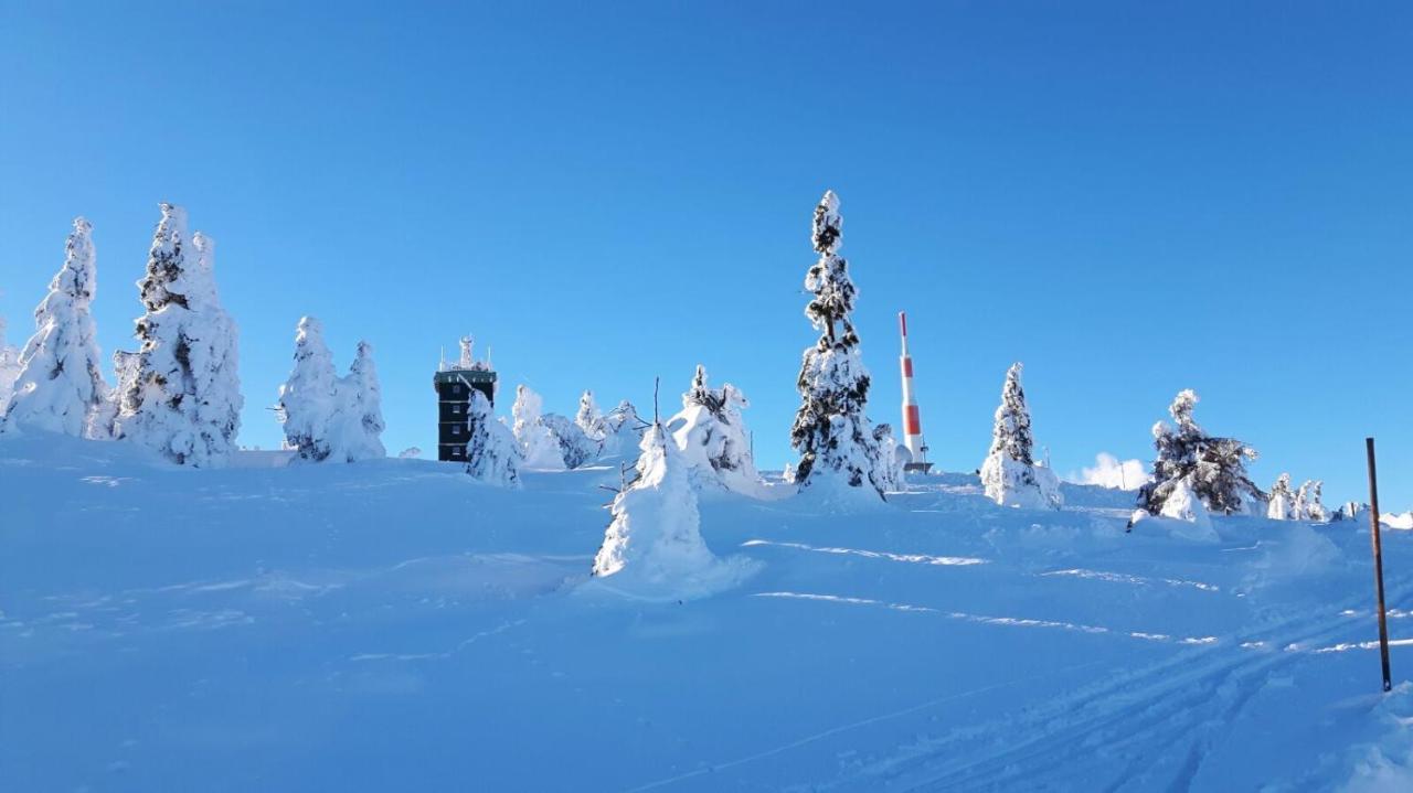 Hotel Zur Schmiede Altenau  Buitenkant foto